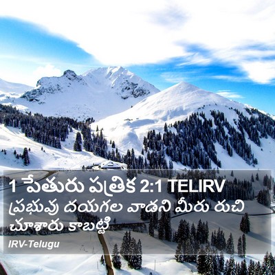 1 పేతురు పత్రిక 2:1 TELIRV Bible Verse Image