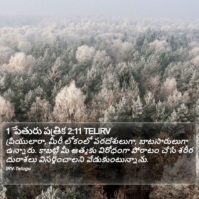 1 పేతురు పత్రిక 2:11 TELIRV Bible Verse Image