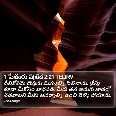 1 పేతురు పత్రిక 2:21 TELIRV Bible Verse Image