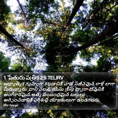 1 పేతురు పత్రిక 2:5 TELIRV Bible Verse Image
