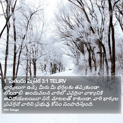 1 పేతురు పత్రిక 3:1 TELIRV Bible Verse Image