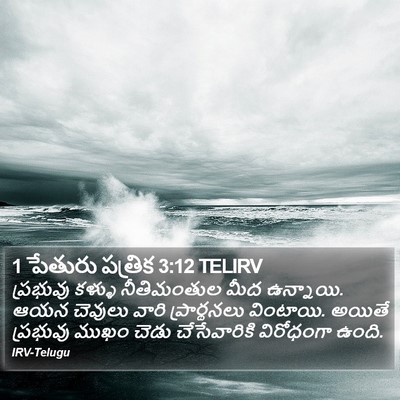 1 పేతురు పత్రిక 3:12 TELIRV Bible Verse Image