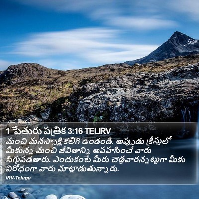 1 పేతురు పత్రిక 3:16 TELIRV Bible Verse Image