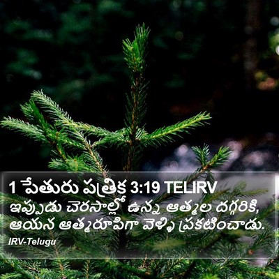 1 పేతురు పత్రిక 3:19 TELIRV Bible Verse Image