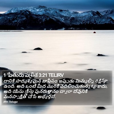 1 పేతురు పత్రిక 3:21 TELIRV Bible Verse Image