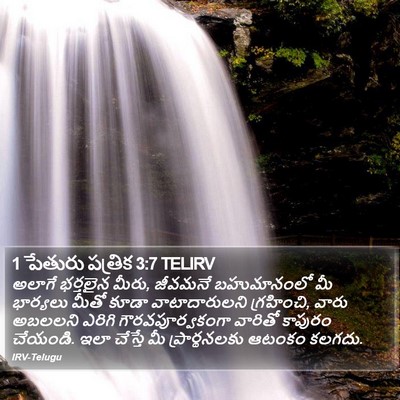 1 పేతురు పత్రిక 3:7 TELIRV Bible Verse Image