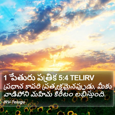 1 పేతురు పత్రిక 5:4 TELIRV Bible Verse Image