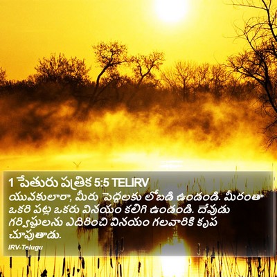 1 పేతురు పత్రిక 5:5 TELIRV Bible Verse Image