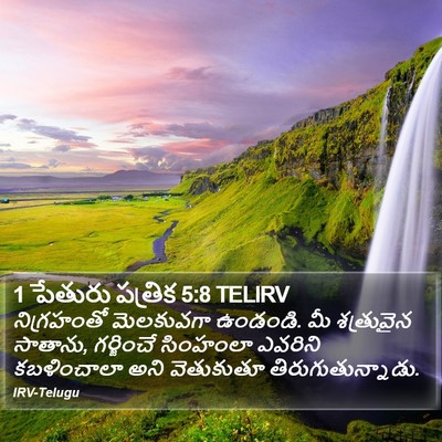 1 పేతురు పత్రిక 5:8 TELIRV Bible Verse Image