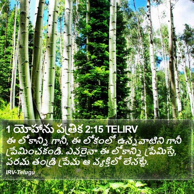 1 యోహాను పత్రిక 2:15 TELIRV Bible Verse Image