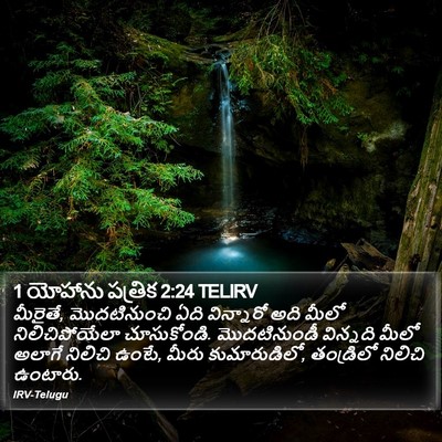 1 యోహాను పత్రిక 2:24 TELIRV Bible Verse Image
