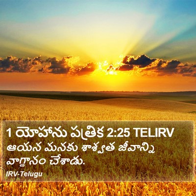 1 యోహాను పత్రిక 2:25 TELIRV Bible Verse Image