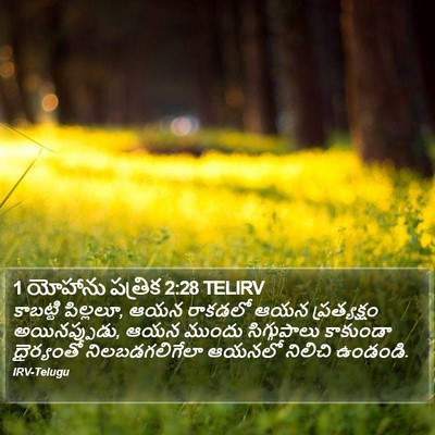 1 యోహాను పత్రిక 2:28 TELIRV Bible Verse Image