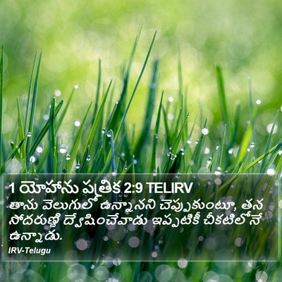 1 యోహాను పత్రిక 2:9 TELIRV Bible Verse Image