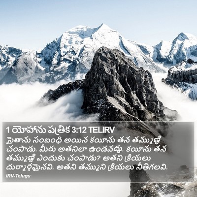1 యోహాను పత్రిక 3:12 TELIRV Bible Verse Image