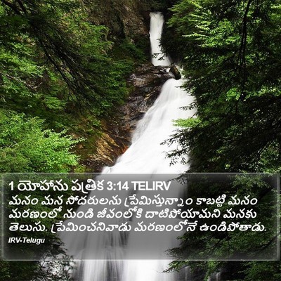 1 యోహాను పత్రిక 3:14 TELIRV Bible Verse Image