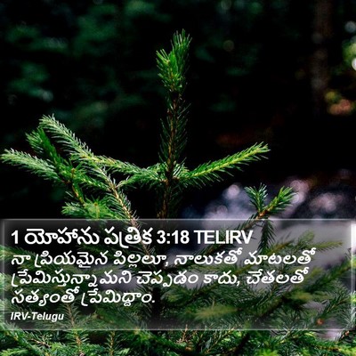 1 యోహాను పత్రిక 3:18 TELIRV Bible Verse Image