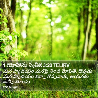 1 యోహాను పత్రిక 3:20 TELIRV Bible Verse Image