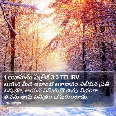 1 యోహాను పత్రిక 3:3 TELIRV Bible Verse Image