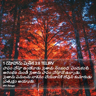 1 యోహాను పత్రిక 3:8 TELIRV Bible Verse Image