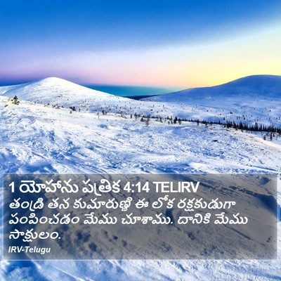 1 యోహాను పత్రిక 4:14 TELIRV Bible Verse Image
