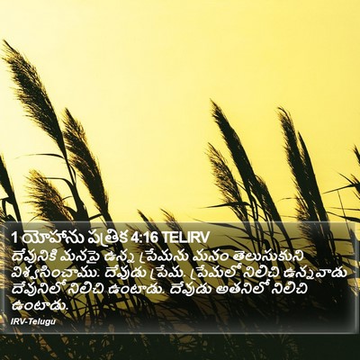 1 యోహాను పత్రిక 4:16 TELIRV Bible Verse Image