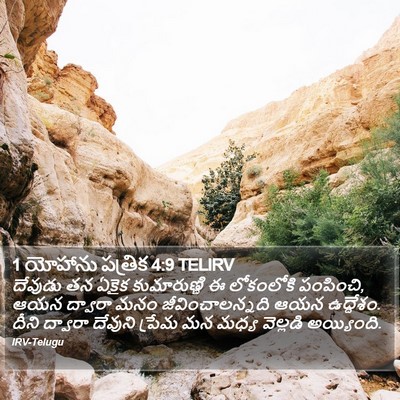 1 యోహాను పత్రిక 4:9 TELIRV Bible Verse Image