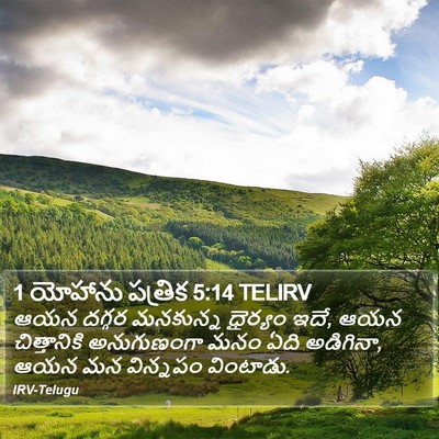 1 యోహాను పత్రిక 5:14 TELIRV Bible Verse Image