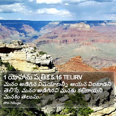 1 యోహాను పత్రిక 5:15 TELIRV Bible Verse Image