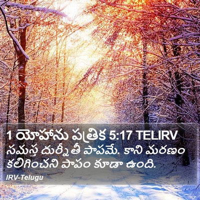 1 యోహాను పత్రిక 5:17 TELIRV Bible Verse Image