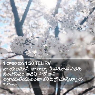 1 రాజులు 1:20 TELIRV Bible Verse Image