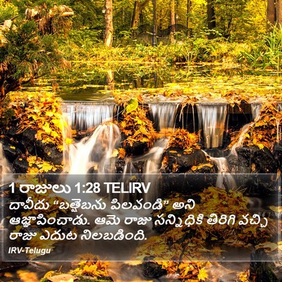 1 రాజులు 1:28 TELIRV Bible Verse Image