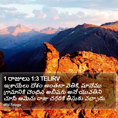 1 రాజులు 1:3 TELIRV Bible Verse Image
