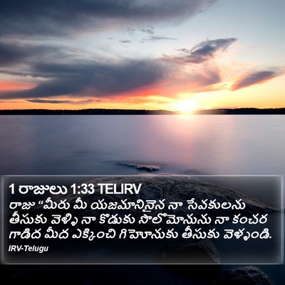 1 రాజులు 1:33 TELIRV Bible Verse Image