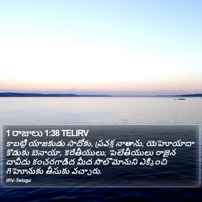 1 రాజులు 1:38 TELIRV Bible Verse Image