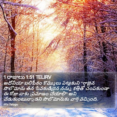 1 రాజులు 1:51 TELIRV Bible Verse Image