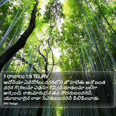 1 రాజులు 1:9 TELIRV Bible Verse Image