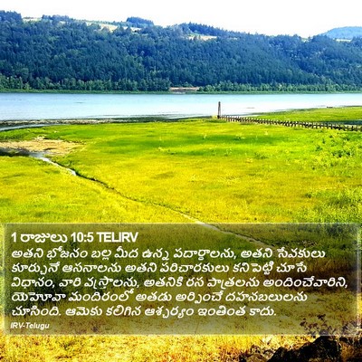 1 రాజులు 10:5 TELIRV Bible Verse Image