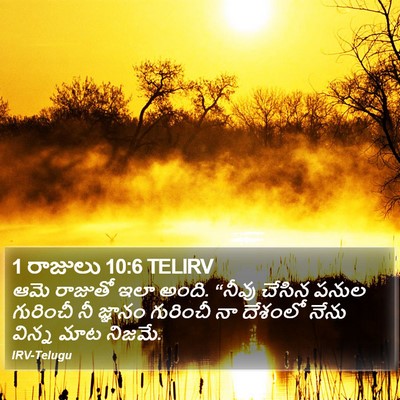 1 రాజులు 10:6 TELIRV Bible Verse Image