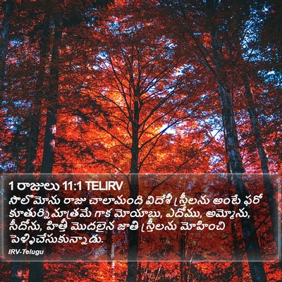 1 రాజులు 11:1 TELIRV Bible Verse Image