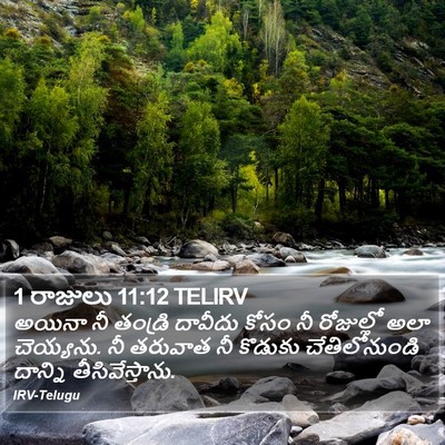 1 రాజులు 11:12 TELIRV Bible Verse Image