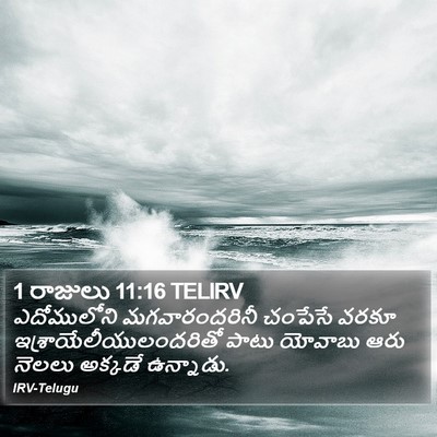 1 రాజులు 11:16 TELIRV Bible Verse Image