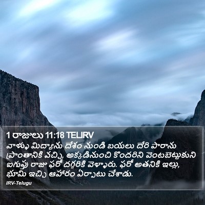 1 రాజులు 11:18 TELIRV Bible Verse Image