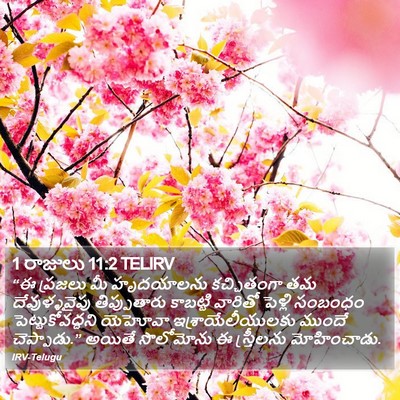 1 రాజులు 11:2 TELIRV Bible Verse Image