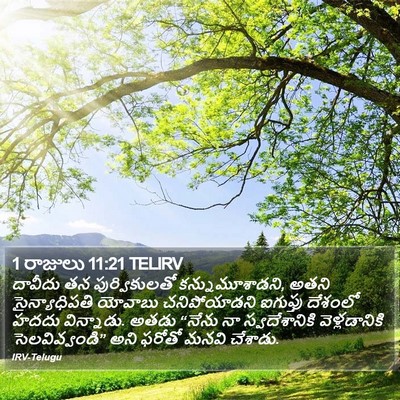 1 రాజులు 11:21 TELIRV Bible Verse Image