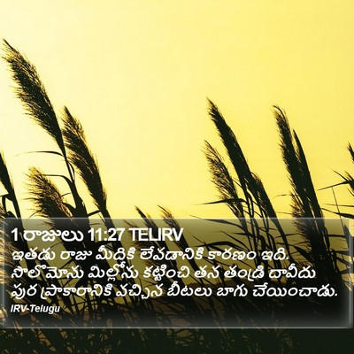 1 రాజులు 11:27 TELIRV Bible Verse Image