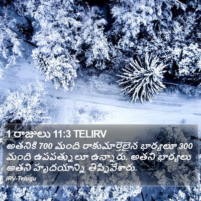 1 రాజులు 11:3 TELIRV Bible Verse Image