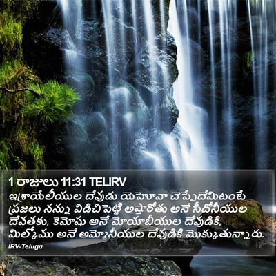 1 రాజులు 11:31 TELIRV Bible Verse Image