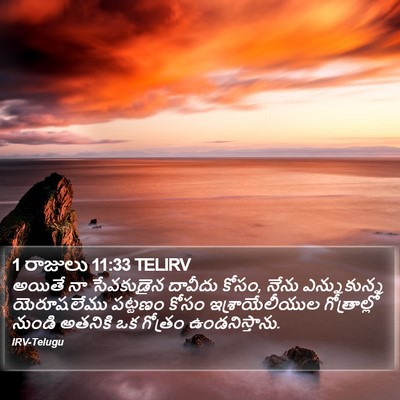 1 రాజులు 11:33 TELIRV Bible Verse Image