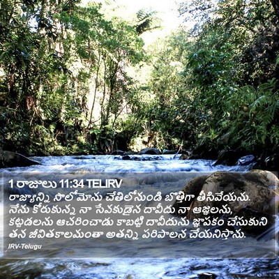 1 రాజులు 11:34 TELIRV Bible Verse Image